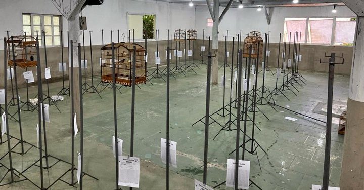 Polícia Militar e Cidasc soltam pássaros silvestres e impedem torneio ilegal de canto