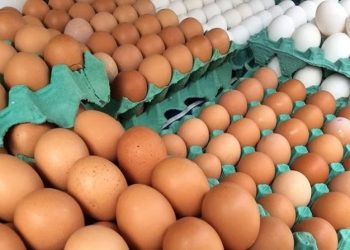 Preço do ovo sobe quase 20% em março: entenda os motivos e quando pode cair