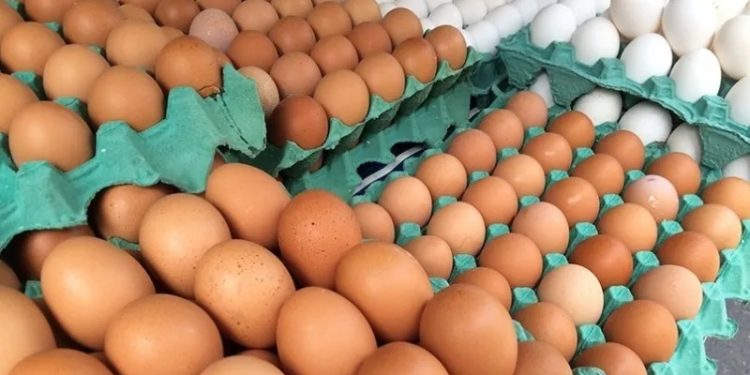 Preço do ovo sobe quase 20% em março: entenda os motivos e quando pode cair