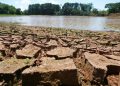 Santa Catarina enfrenta seca moderada em 16 cidades, com impacto nas lavouras e corpos d’água
