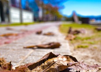 Primeiro pico de frio de 2025 está chegando: prepare os casacos!