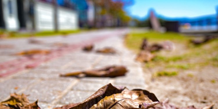 Primeiro pico de frio de 2025 está chegando: prepare os casacos!