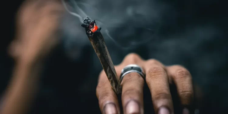 Santa Catarina regulamenta lei que multa uso de drogas em locais públicos