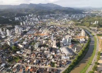 Levantamento do IBGE aponta menor índice de arborização urbana no Vale do Itajaí, em SC