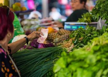 Santa Catarina lidera com menor grau de pobreza e extrema pobreza no Brasil