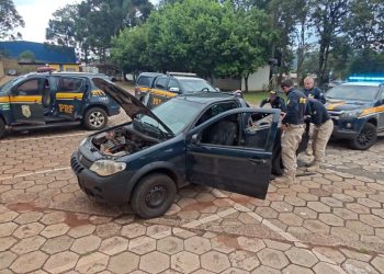 Tecnologia contra o crime: PRF usa scanner veicular e apreende quase 56 kg de maconha