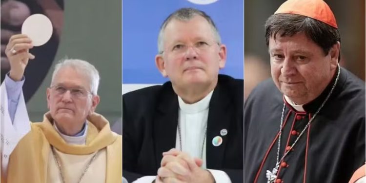 Três dos sete brasileiros que podem participar do Conclave são de Santa Catarina