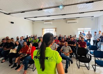 Operação Limpa Fio: Procon SC lança projeto para organizar e fiscalizar postes em Santa Catarina