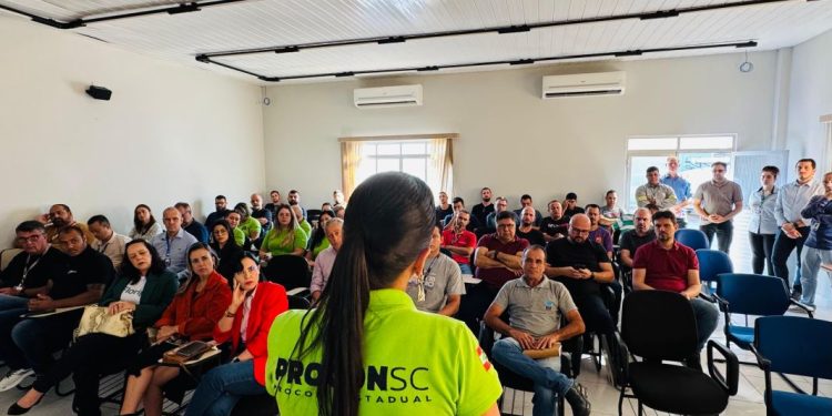 Operação Limpa Fio: Procon SC lança projeto para organizar e fiscalizar postes em Santa Catarina