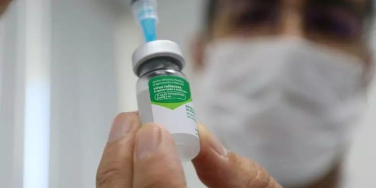 Baixa adesão preocupa: vacinação contra gripe não atinge 30% do público-alvo em Santa Catarina