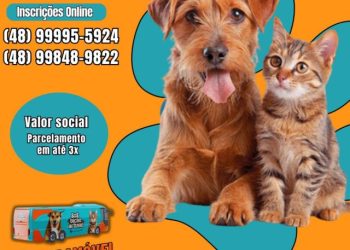 Nova edição do Mutirão de Castração de Cães e Gatos tem inscrições abertas em São João Batista