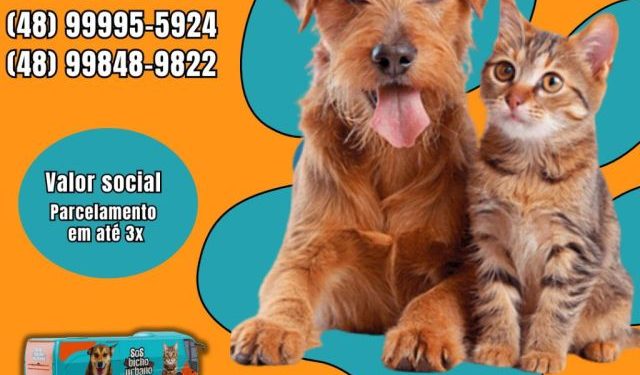 Nova edição do Mutirão de Castração de Cães e Gatos tem inscrições abertas em São João Batista