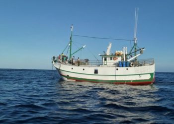 Santa Catarina lidera início da safra industrial da tainha com 8 das 10 embarcações do país