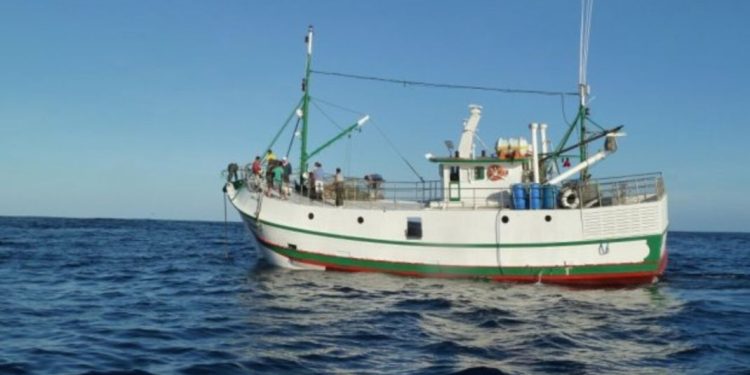 Santa Catarina lidera início da safra industrial da tainha com 8 das 10 embarcações do país