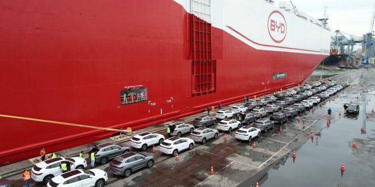 Porto de Itajaí realiza maior desembarque de veículos elétricos da história do Brasil