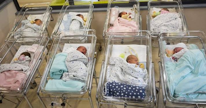 Número de filhos por mulher no Brasil é o menor da história, aponta IBGE