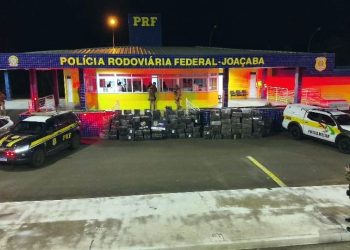 Ação conjunta PRF e PM/SC faz a maior apreensão de maconha do ano em SC