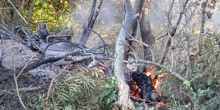 Queda de balão em SC: MP dá prazo para empresa explicar incêndio