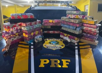 Homem é preso com quase 30 quilos de maconha na BR-101 em Barra Velha