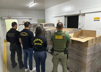 PF combate o comércio ilegal de pescados em sete estados brasileiros