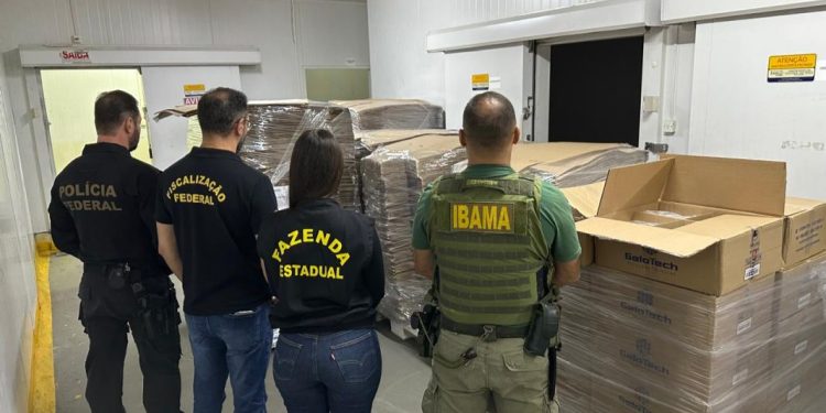 PF combate o comércio ilegal de pescados em sete estados brasileiros