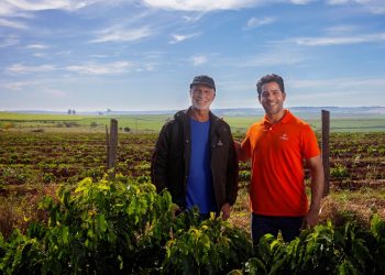 Cresol encerra Plano Safra 24/25 com R$ 13 bi e projeta novo recorde de crédito rural