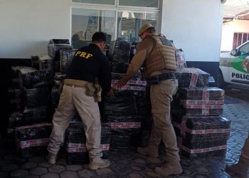 Ação conjunta PRF e PM apreende 3,7 toneladas de maconha no norte de SC