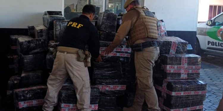 Ação conjunta PRF e PM apreende 3,7 toneladas de maconha no norte de SC