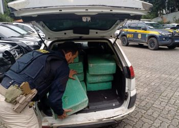 PRF apreende mais de meia tonelada de maconha em Joinville