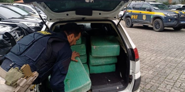 PRF apreende mais de meia tonelada de maconha em Joinville