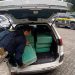 PRF apreende mais de meia tonelada de maconha em Joinville