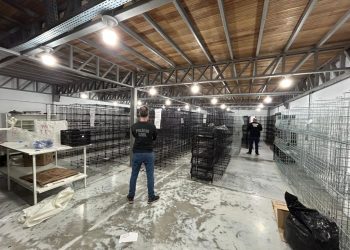 Polícia Civil desarticula esquema de pirataria que movimentou r$ 13 milhões em Brusque