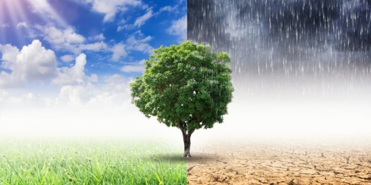 Chuva, frio e granizo: duas frentes frias avançam sobre Santa Catarina e trazem risco de temporais