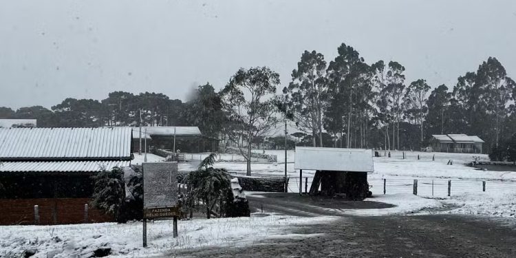 Santa Catarina enfrenta o inverno mais frio em 25 anos, aponta análise
