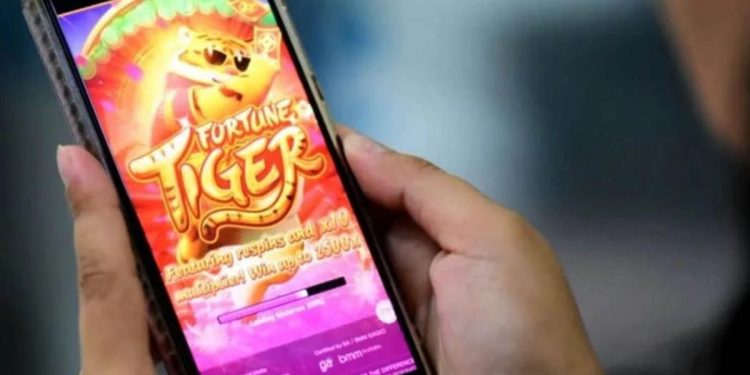 Governo de Santa Catarina sanciona lei que proíbe jogos de azar em órgãos públicos