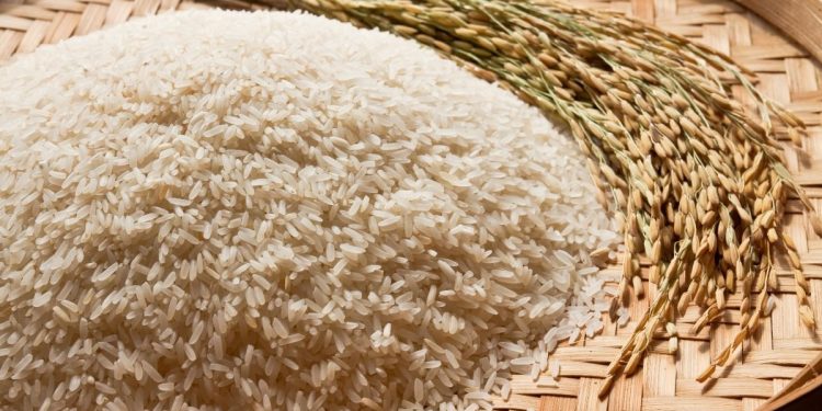 Preço do arroz cai expressivamente em SC e produtores temem prejuízos