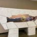 Carlo Acutis é canonizado no Vaticano e se torna o 1º santo millennial