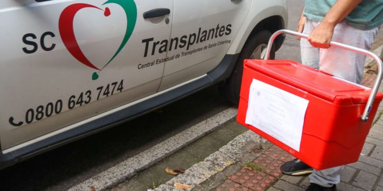 Setembro Verde: Santa Catarina é referência nacional em doação e transplante de órgãos