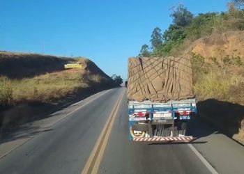 Falta de caminhoneiros causa prejuízo de R$ 30 milhões por mês em Santa Catarina