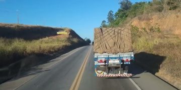 Falta de caminhoneiros causa prejuízo de R$ 30 milhões por mês em Santa Catarina