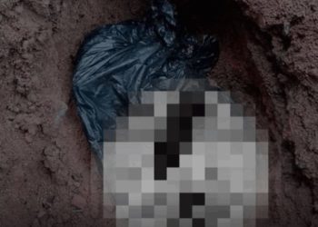 Restos mortais de animais são encontrados no Cemitério de São Valentim, em Nova Trento