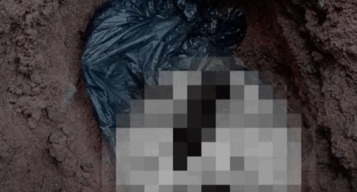 Restos mortais de animais são encontrados no Cemitério de São Valentim, em Nova Trento