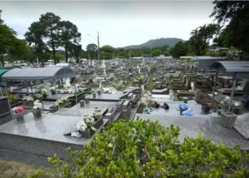 Florianópolis autoriza enterro de pets junto aos tutores em cemitérios públicos