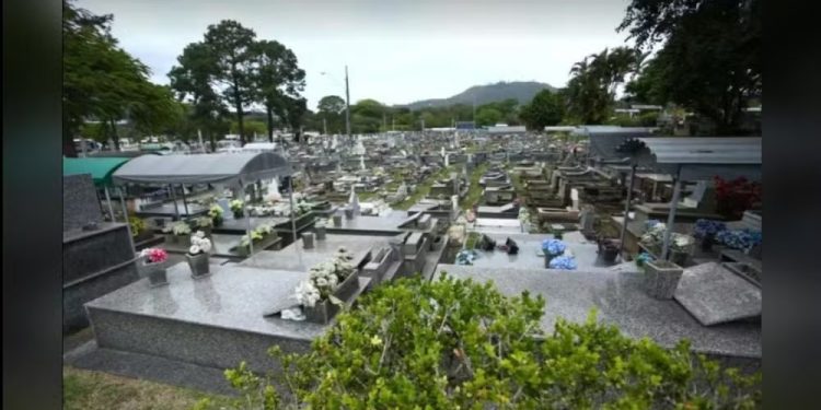 Florianópolis autoriza enterro de pets junto aos tutores em cemitérios públicos