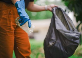 Mobilização em Santa Catarina para enfrentar o Aedes aegypti