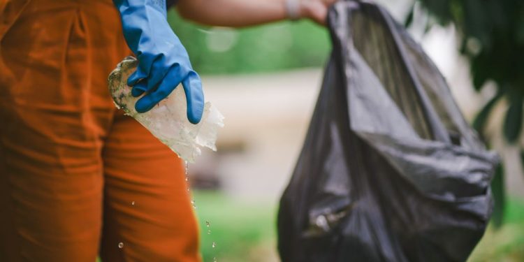 Mobilização em Santa Catarina para enfrentar o Aedes aegypti