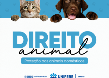 Curso de Direito da Unifebe promove campanha solidária em prol de Ongs de proteção animal