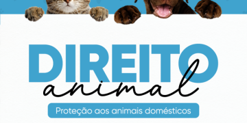 Curso de Direito da Unifebe promove campanha solidária em prol de Ongs de proteção animal