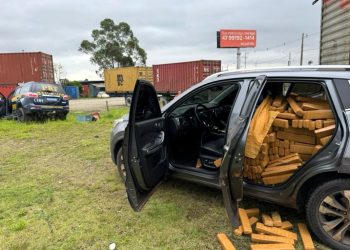 PRF apreende cerca de 500 kg de maconha e recupera carro roubado em Itajaí