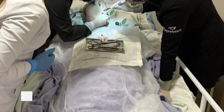 São João Batista inicia disponibilização de atendimento odontológico domiciliar para pacientes acamados